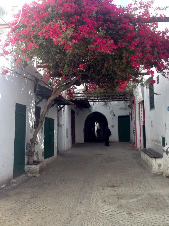 Hotel Riad Dalia Tétouan المظهر الخارجي الصورة